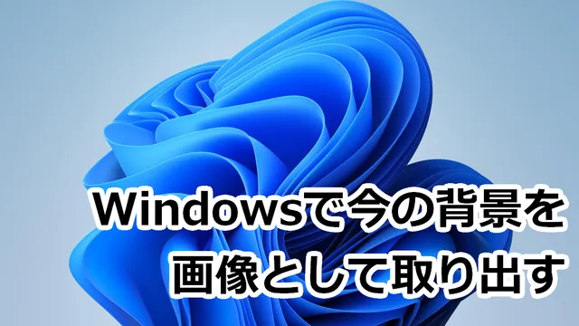 Blog Thumbnail